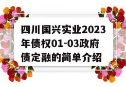 四川国兴实业2023年债权01-03政府债定融的简单介绍