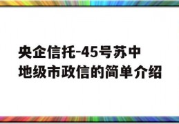 央企信托-45号苏中地级市政信的简单介绍