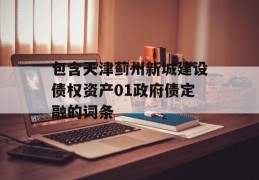 包含天津蓟州新城建设债权资产01政府债定融的词条