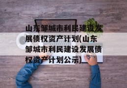 山东邹城市利民建设发展债权资产计划(山东邹城市利民建设发展债权资产计划公示)