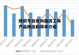 政府平台定向融资工具产品精选的简单介绍