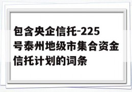 包含央企信托-225号泰州地级市集合资金信托计划的词条