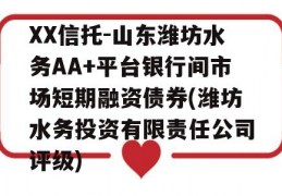 XX信托-山东潍坊水务AA+平台银行间市场短期融资债券(潍坊水务投资有限责任公司评级)