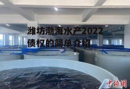 潍坊渤海水产2022债权的简单介绍