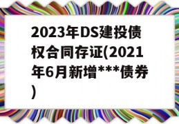 2023年DS建投债权合同存证(2021年6月新增***债券)