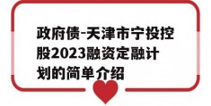 政府债-天津市宁投控股2023融资定融计划的简单介绍