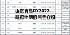 山东青岛RX2022融资计划的简单介绍