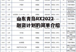 山东青岛RX2022融资计划的简单介绍