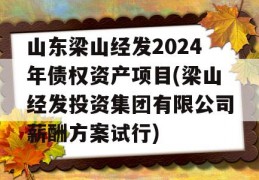 山东梁山经发2024年债权资产项目(梁山经发投资集团有限公司薪酬方案试行)