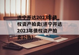 遂宁开达2023年债权资产拍卖(遂宁开达2023年债权资产拍卖公告)