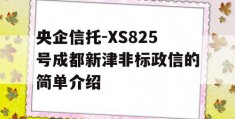 央企信托-XS825号成都新津非标政信的简单介绍