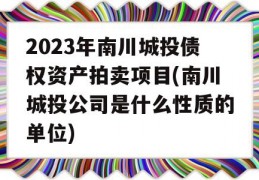 2023年南川城投债权资产拍卖项目(南川城投公司是什么性质的单位)