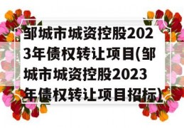 邹城市城资控股2023年债权转让项目(邹城市城资控股2023年债权转让项目招标)