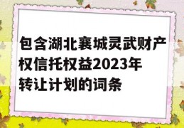 包含湖北襄城灵武财产权信托权益2023年转让计划的词条