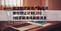 武汉阳逻新港产业投资债权转让计划(2020阳逻新港线最新消息)