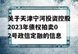 关于天津宁河投资控股2023年债权拍卖02号政信定融的信息