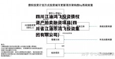 四川江油鸿飞投资债权资产拍卖融资项目(四川省江油市鸿飞投资集团有限公司)