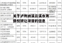 关于泸州纳溪云溪水务债权转让项目的信息