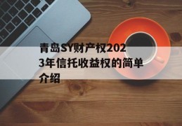 青岛SY财产权2023年信托收益权的简单介绍