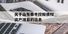 关于山东泰丰控股债权资产项目的信息