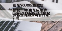 山东SGJX投控政信债权一号(山东应急转贷基金有限公司有几家)