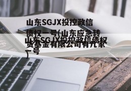 山东SGJX投控政信债权一号(山东应急转贷基金有限公司有几家)