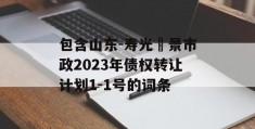 包含山东-寿光昇景市政2023年债权转让计划1-1号的词条