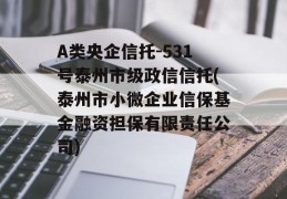 A类央企信托-531号泰州市级政信信托(泰州市小微企业信保基金融资担保有限责任公司)