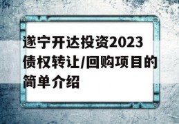 遂宁开达投资2023债权转让/回购项目的简单介绍