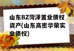 山东BZ菏泽置业债权资产(山东高密华荣实业债权)