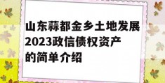 山东蒜都金乡土地发展2023政信债权资产的简单介绍