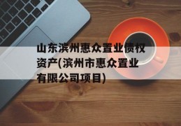 山东滨州惠众置业债权资产(滨州市惠众置业有限公司项目)