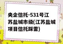 央企信托-531号江苏盐城市级(江苏盐城项目信托踩雷)