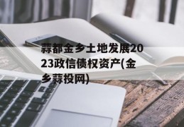 蒜都金乡土地发展2023政信债权资产(金乡蒜投网)