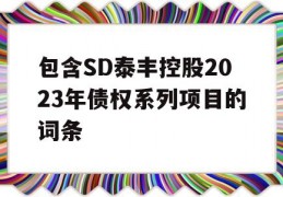 包含SD泰丰控股2023年债权系列项目的词条