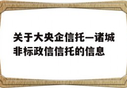 关于大央企信托—诸城非标政信信托的信息