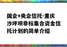 国企+央企信托-重庆沙坪坝非标集合资金信托计划的简单介绍