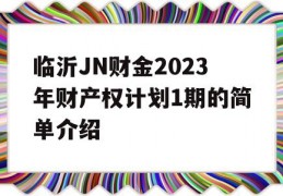 临沂JN财金2023年财产权计划1期的简单介绍