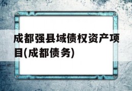 成都强县域债权资产项目(成都债务)