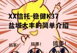 XX信托-稳健K37盐城大丰的简单介绍