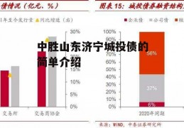 中胜山东济宁城投债的简单介绍