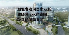 湖北省老河口市xx投资经营--xx产业园项目的简单介绍