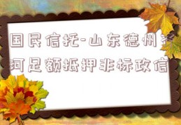 国民信托-山东德州齐河足额抵押非标政信