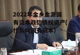 2022年金乡金源国有资本政信债权资产(什么叫国有资本)