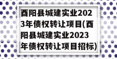 酉阳县城建实业2023年债权转让项目(酉阳县城建实业2023年债权转让项目招标)