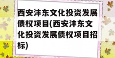 西安沣东文化投资发展债权项目(西安沣东文化投资发展债权项目招标)