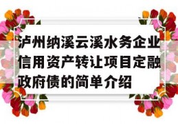 泸州纳溪云溪水务企业信用资产转让项目定融政府债的简单介绍