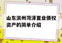 山东滨州菏泽置业债权资产的简单介绍