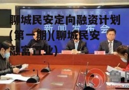 聊城民安定向融资计划(第一期)(聊城民安融富置业)