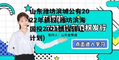 山东潍坊滨城公有2022年债权(潍坊滨海国投2021债权转让计划)